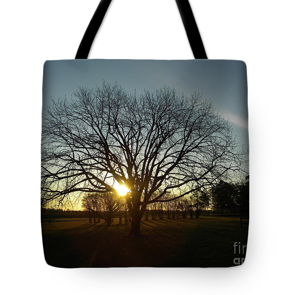 Winter Tote Bag featuring the digital art Southern Sunrise Special by Matthew Seufer