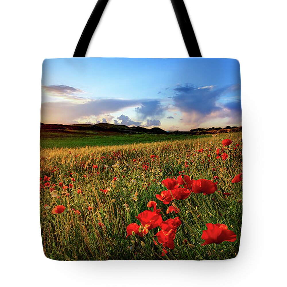 Tranquility Tote Bag featuring the photograph Spain, Menorca, Field Of Poppy Flowers by Westend61