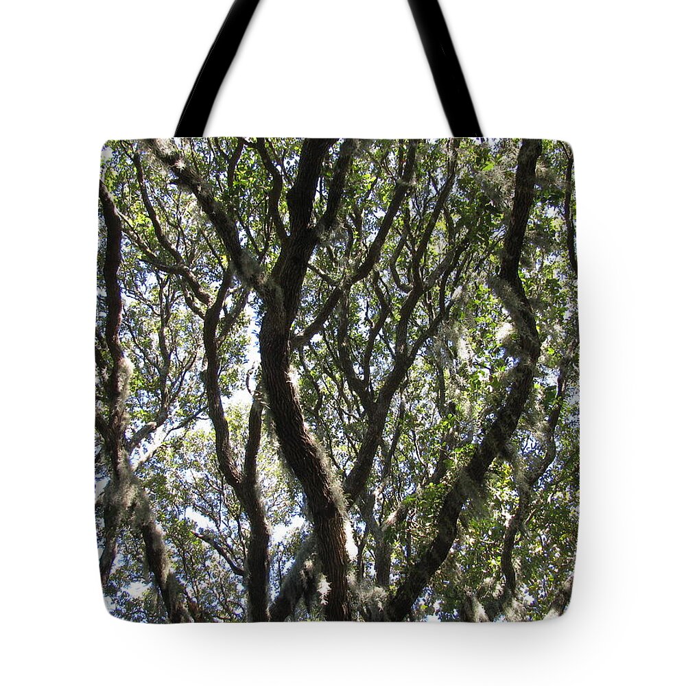 Landscape Tote Bag featuring the photograph Spanish Moss Oak by Ellen Meakin