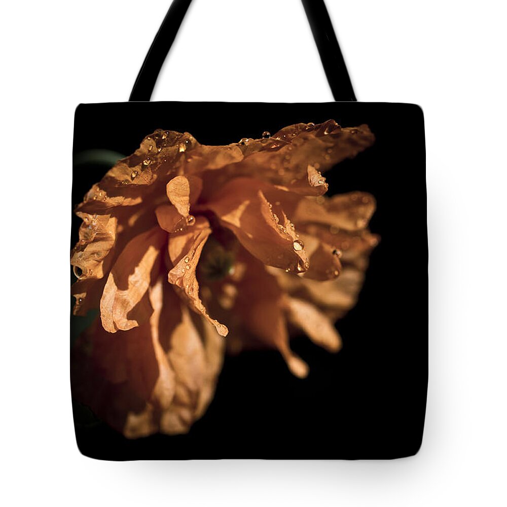 Poppy Tote Bag featuring the photograph Spanish Poppy by Priya Ghose