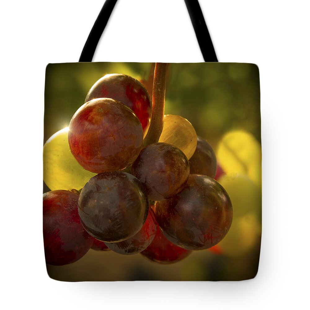 Sparkling Grape Cluster Tote Bag featuring the photograph Sparkling Grape Cluster by Jean Noren