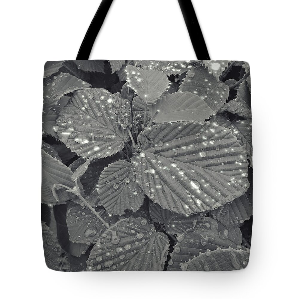 Leaves Tote Bag featuring the photograph Sparkling Leaves by Cathy Anderson