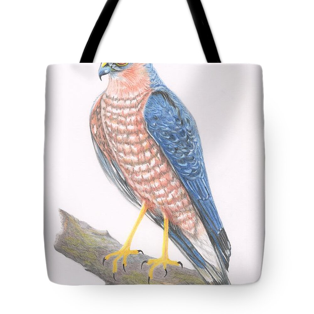 Sparrowhawk Tote Bag featuring the drawing Sparrowhawk by Yvonne Johnstone