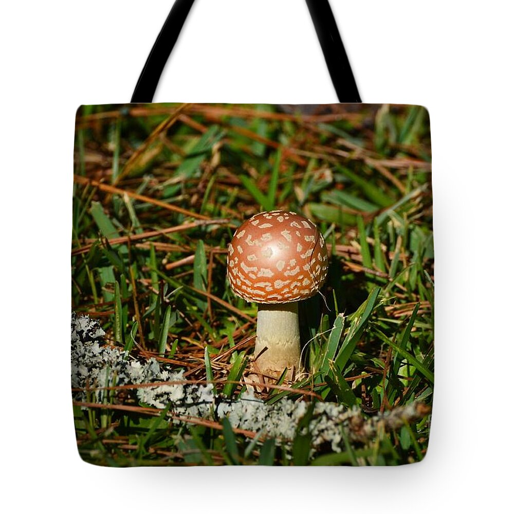 Nature Tote Bag featuring the photograph Speckled Mushroom by Kathy Baccari