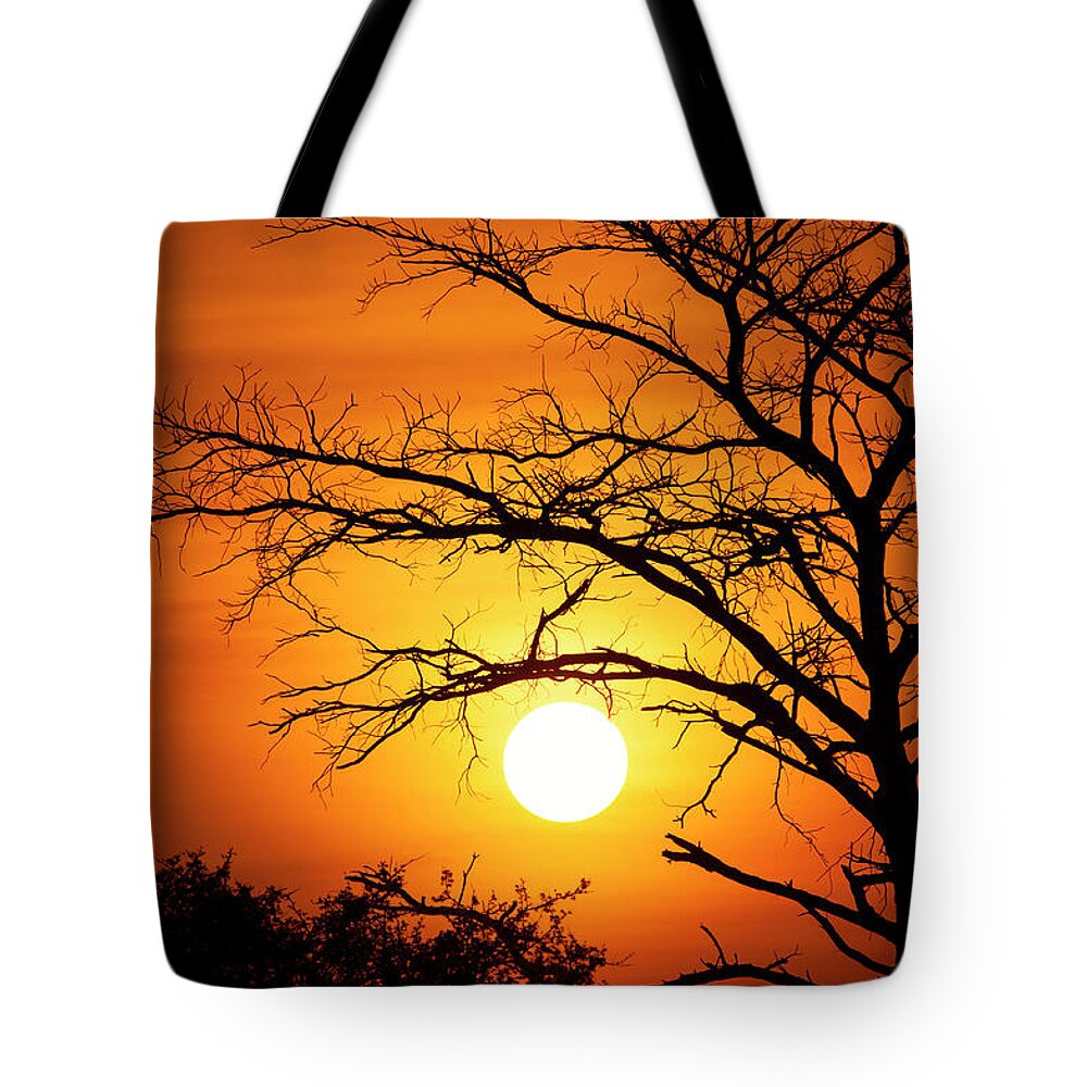 Scenics Tote Bag featuring the photograph Spectacular Sunset Behind A Tree by Guenterguni