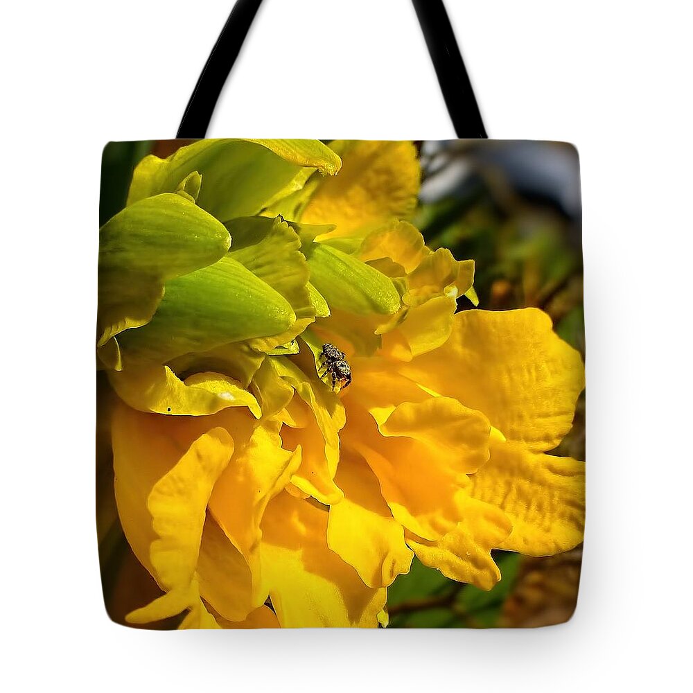 Daffodil Tote Bag featuring the photograph Spider Aboard by Jennifer Wheatley Wolf
