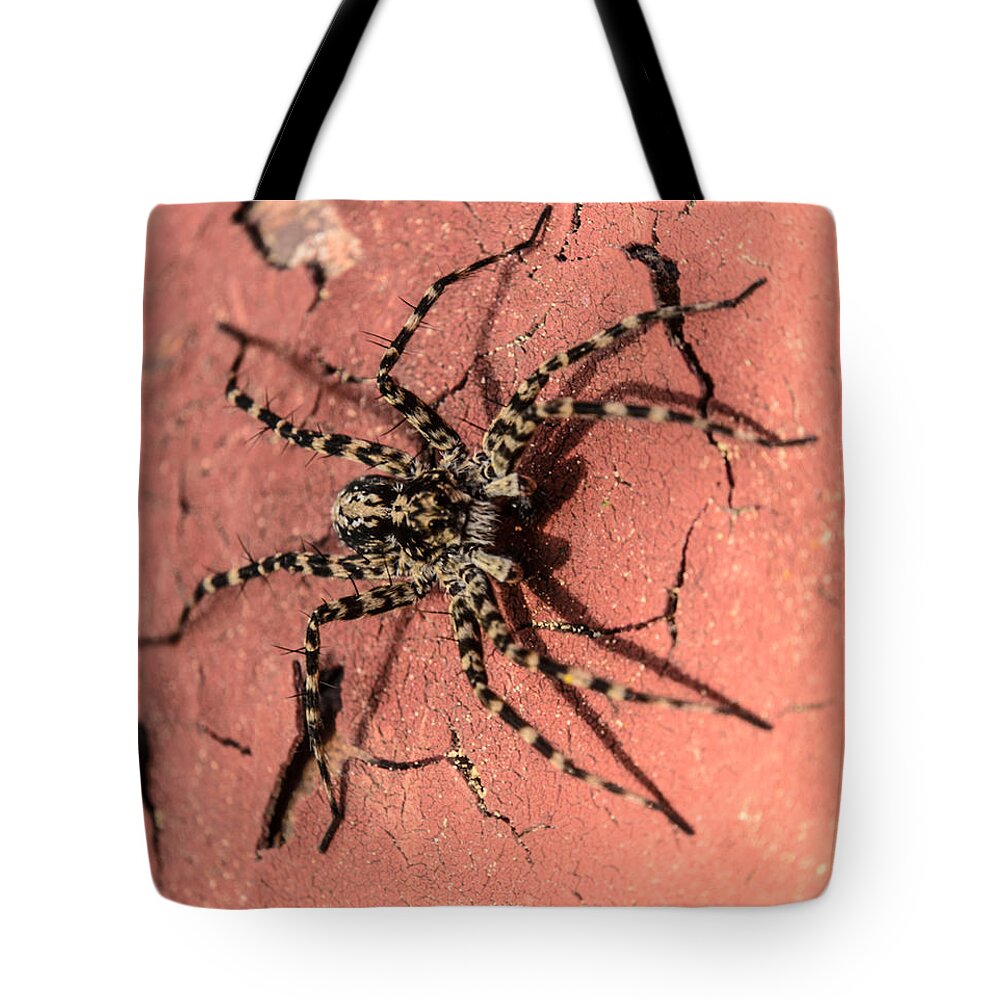 Brown Tote Bag featuring the photograph Spider by Michael Goyberg