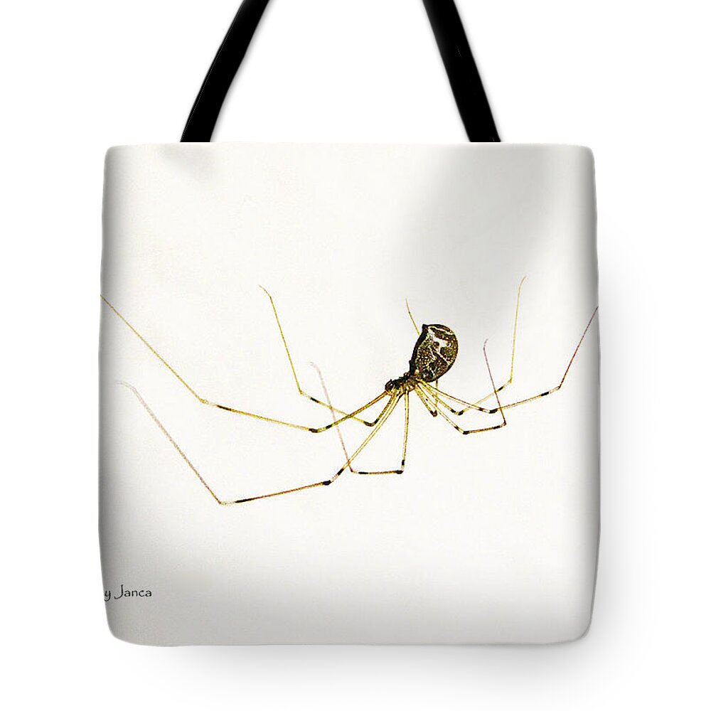 Spider Resider Tote Bag featuring the photograph Spider Resider by Tom Janca