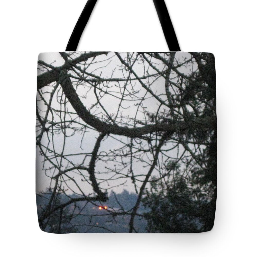 Tree Tote Bag featuring the photograph Spider Tree by David Trotter