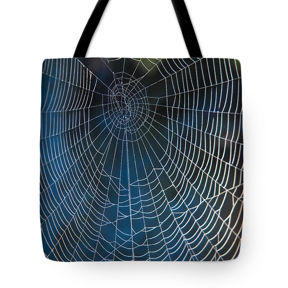 Spiderweb Tote Bag featuring the photograph Spider's Net by Heiko Koehrer-Wagner