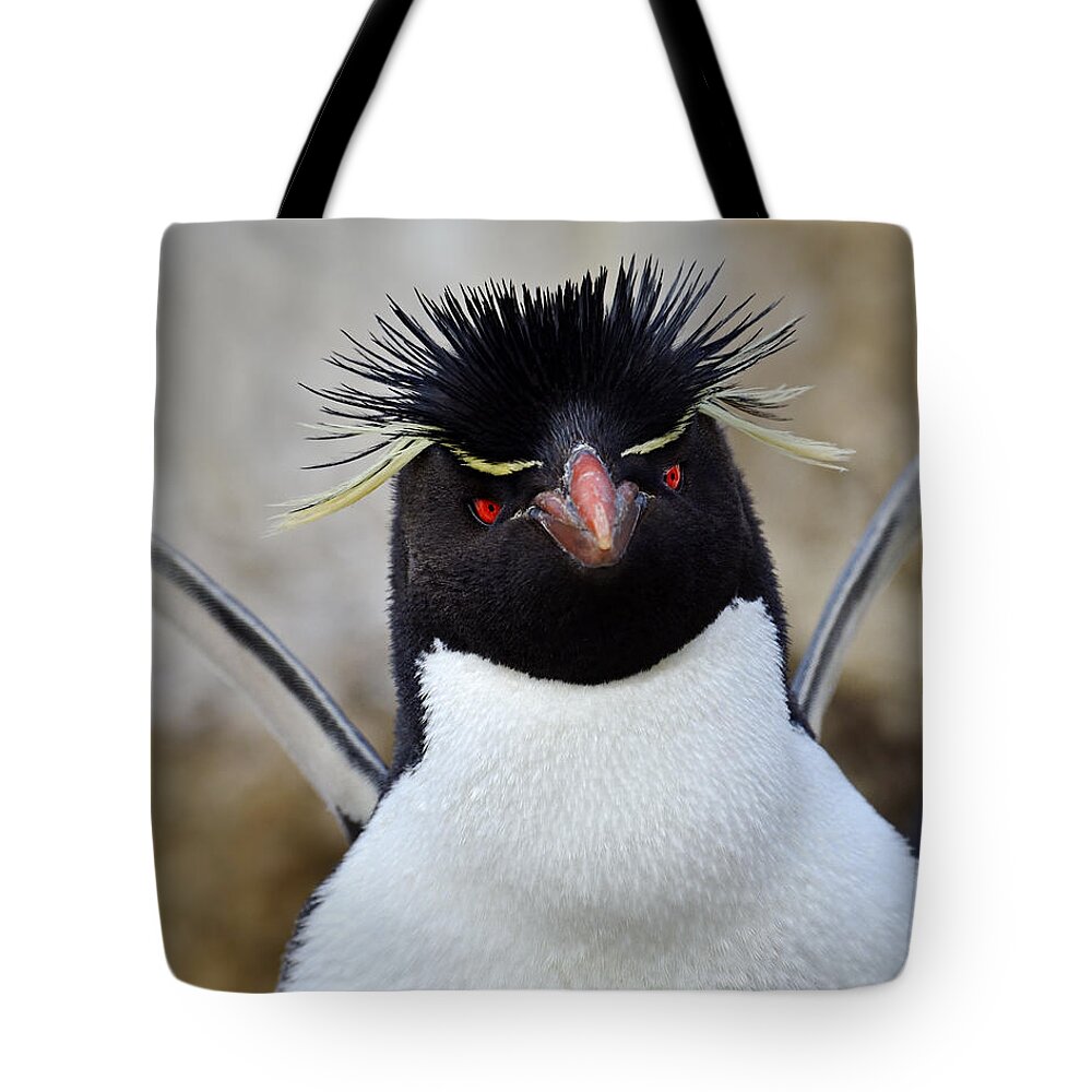 Eudyptes Chrysocome Chrysocome Tote Bag featuring the photograph Spiky by Tony Beck