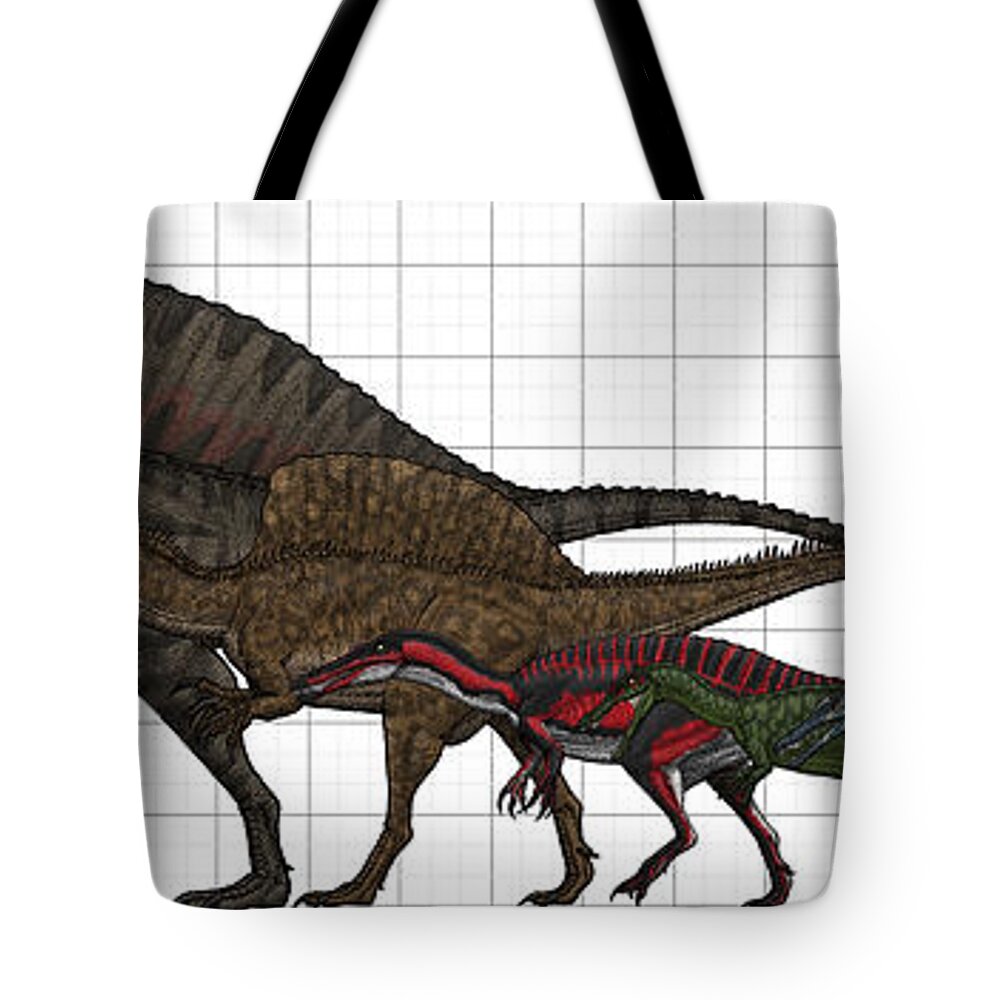 Spinosauridae Size Chart Tote Bag by Vitor Silva - Fine Art America