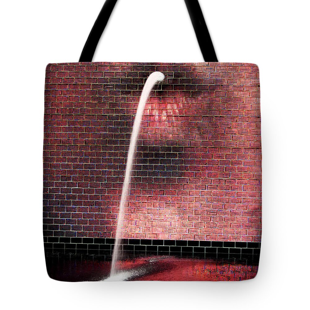 Chicago Tote Bag featuring the photograph Spittin' Image by Patty Colabuono