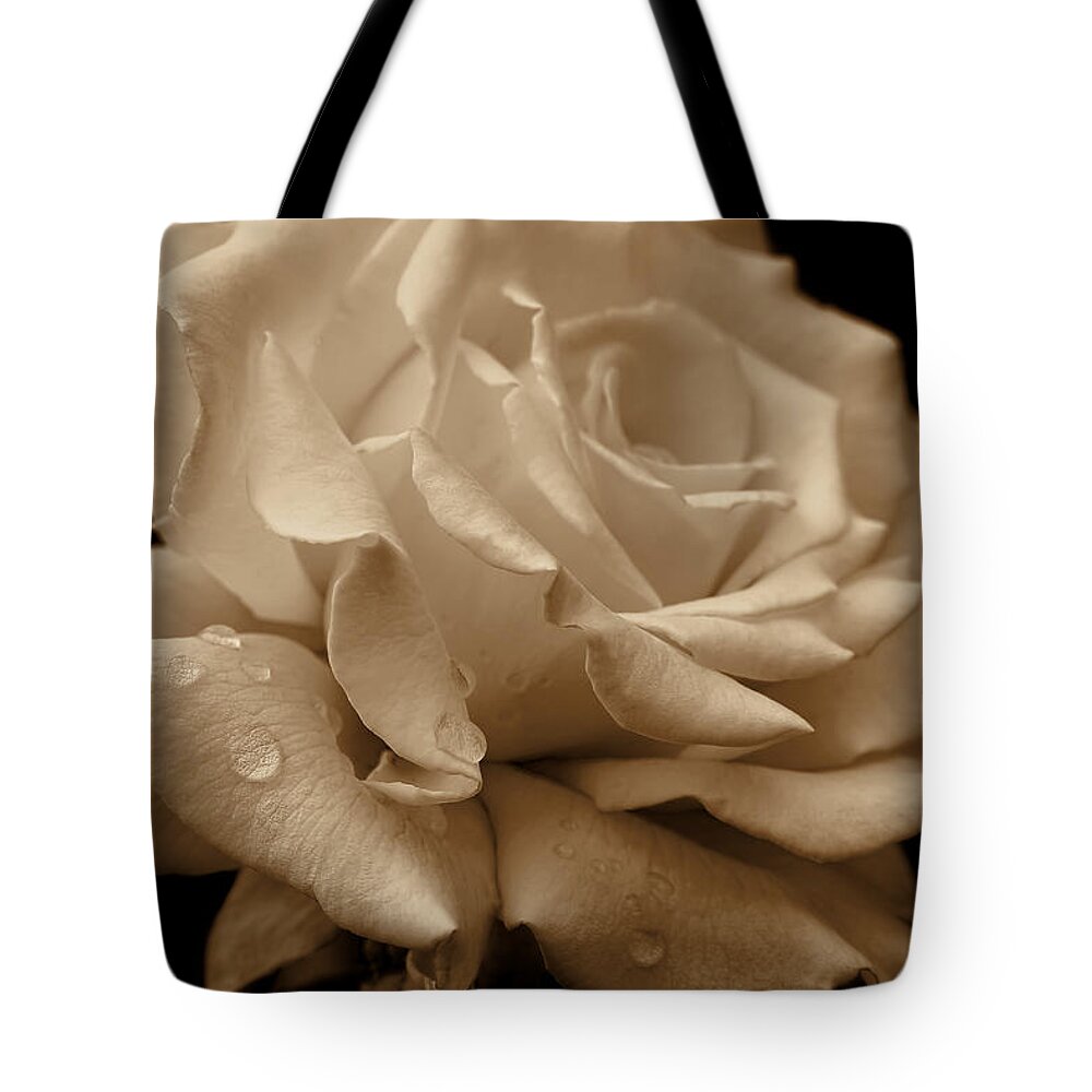 Rose Tote Bag featuring the photograph Splendor Sepia Rose Flower by Jennie Marie Schell