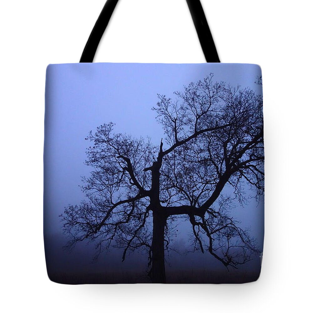 Autumn Tote Bag featuring the photograph Spooky Tree by Jacqueline Athmann