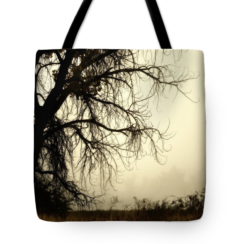 Fog Tote Bag featuring the photograph Spooky Tree by Marilyn Hunt
