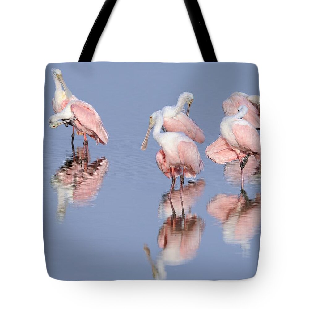 Roseate Spoonbills Tote Bag featuring the photograph Spoonbills Preening by Bradford Martin