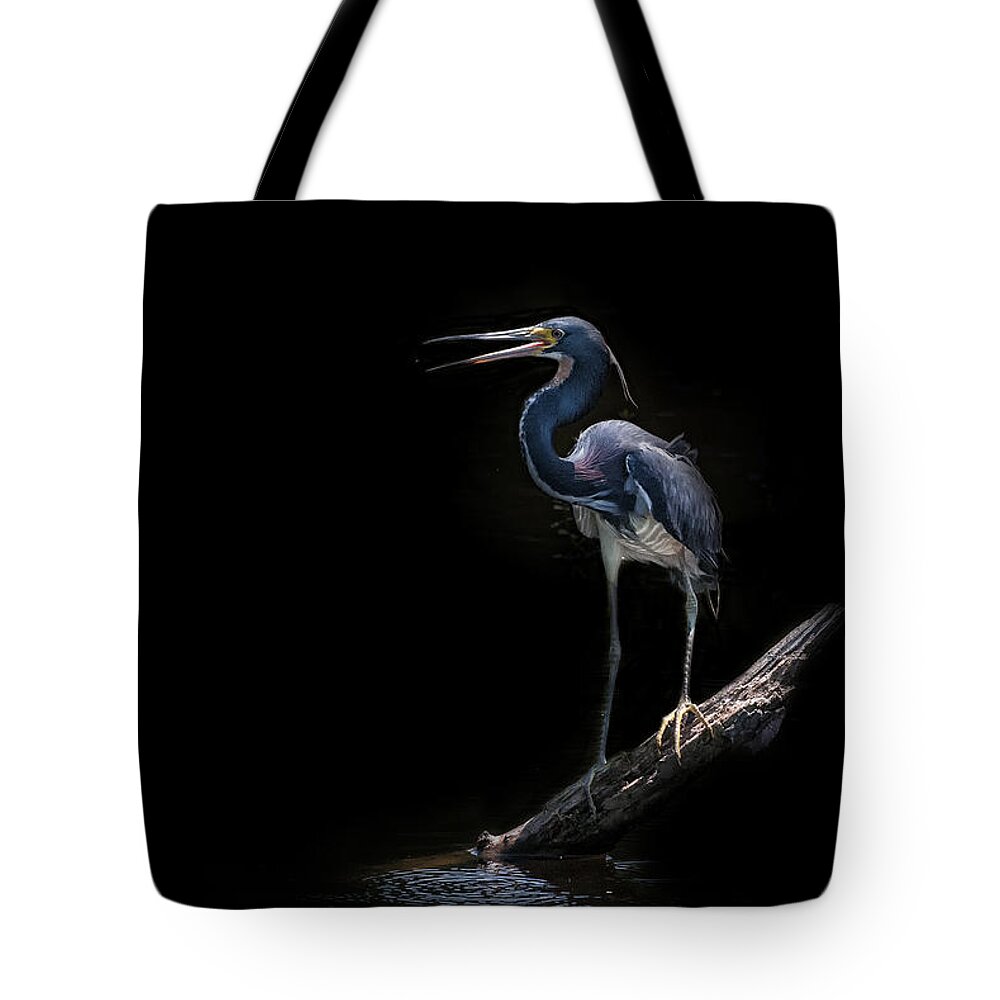 Tricolored Heron Tote Bag featuring the photograph Spotlight by Ghostwinds Photography