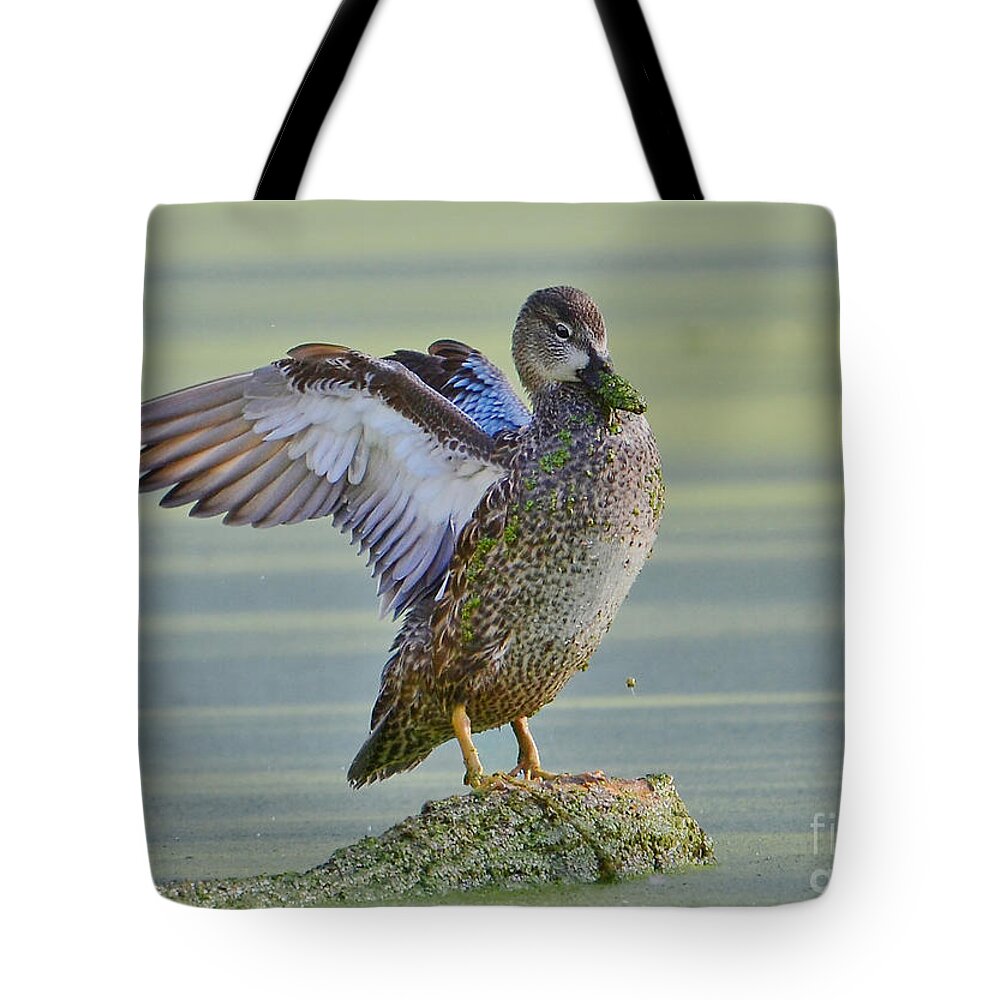 Ducks Tote Bag featuring the photograph Spreading Her Wings by Kathy Baccari