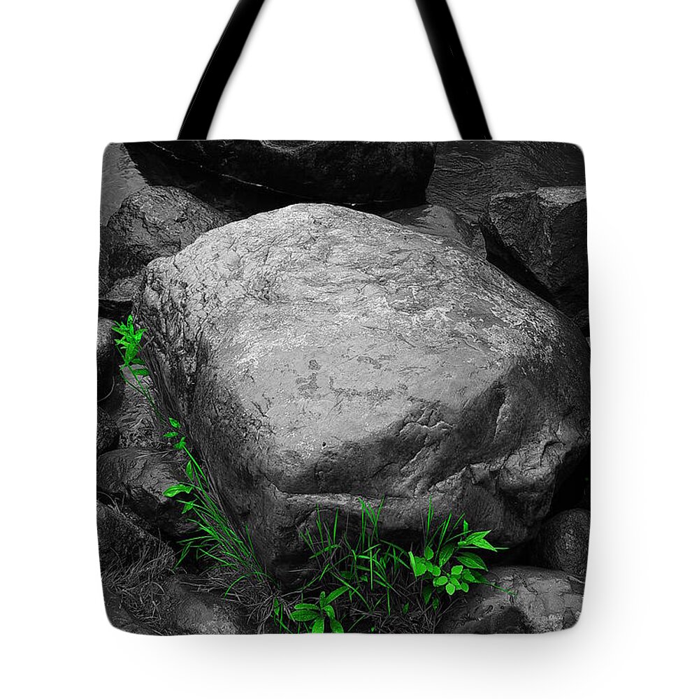 Stone Tote Bag featuring the photograph Spring at Augusta Creek by Randy Pollard