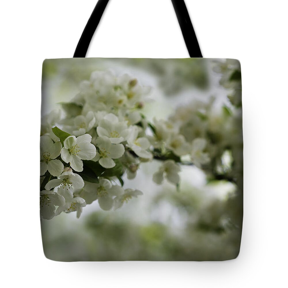 Blooming Tote Bag featuring the photograph Spring Bloosom by Sebastian Musial