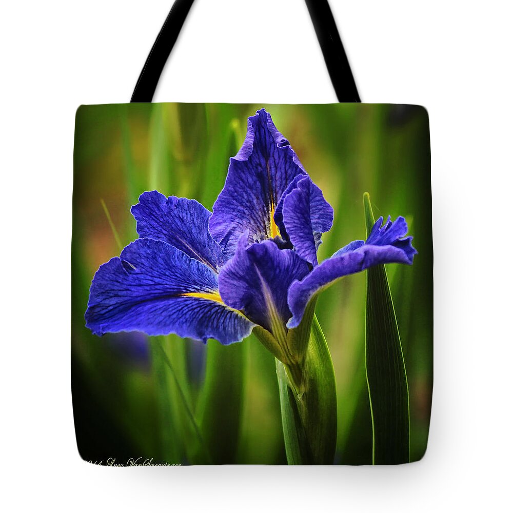 Spring Tote Bag featuring the photograph Spring Blue Iris by Lucy VanSwearingen