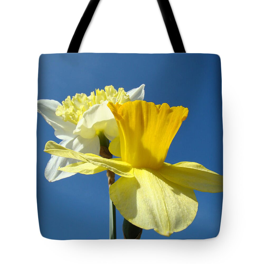 Blue Tote Bag featuring the photograph Spring Blue Sky Yellow Daffodil Flowers art prints by Patti Baslee