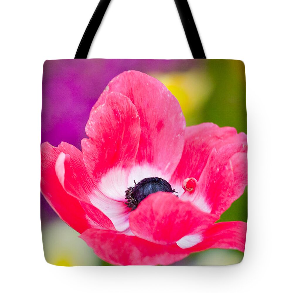 Flowers Tote Bag featuring the photograph Spring Has Sprung by John F Tsumas