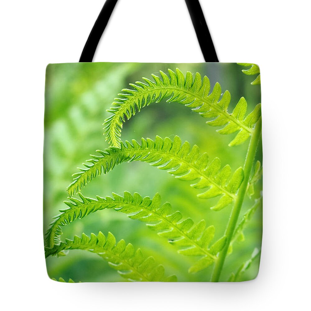 Flowers & Plants Tote Bag featuring the photograph Spring Fern by Lars Lentz