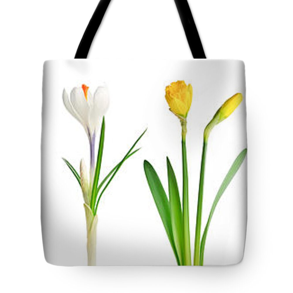 Flowers Tote Bag featuring the photograph Spring flowers 1 by Elena Elisseeva