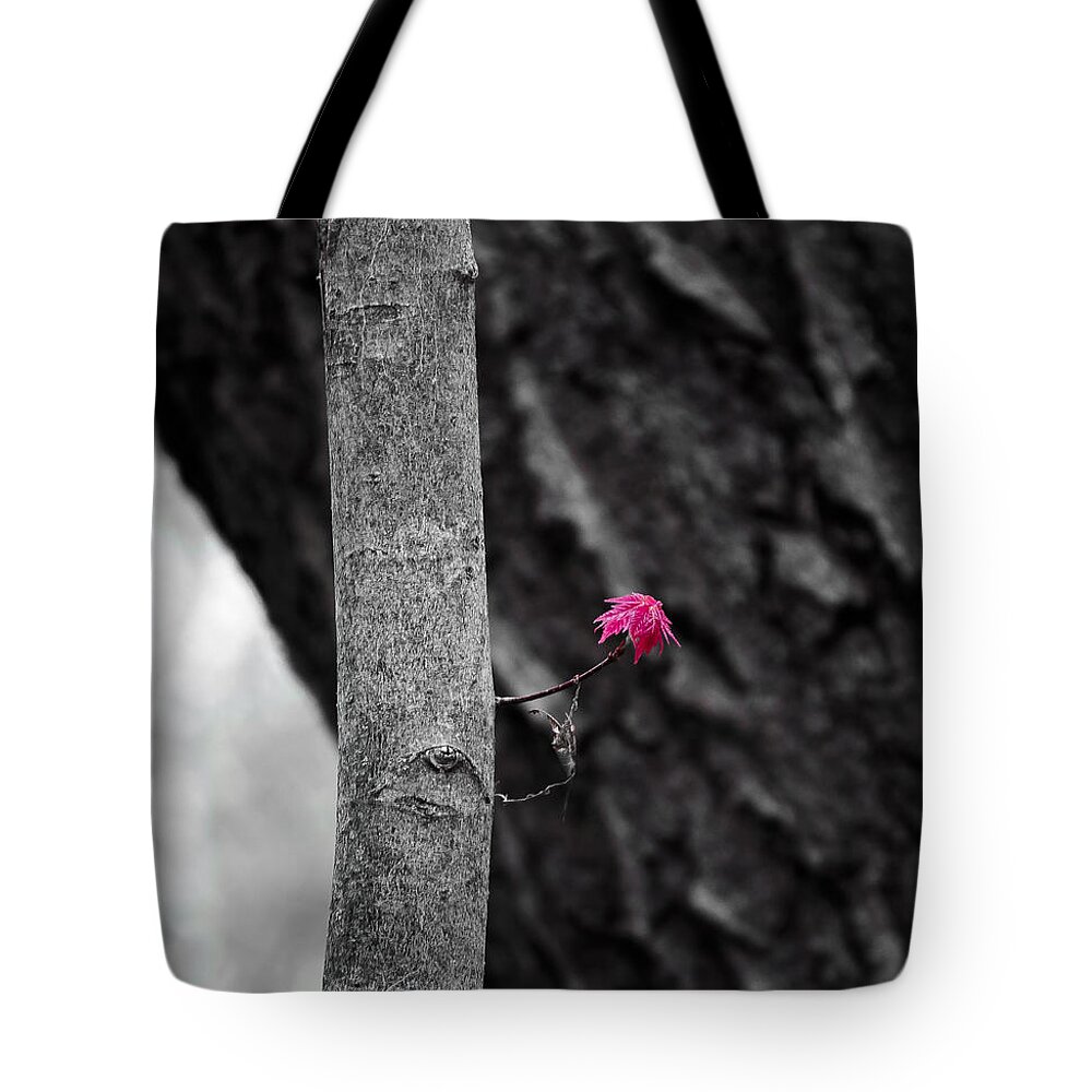 Natural Bridge Tote Bag featuring the photograph Spring Maple Growth by Steven Ralser