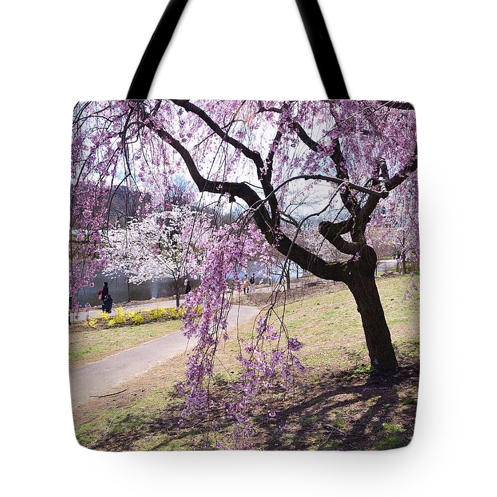 Cherry Blossoms Tote Bag featuring the photograph Cherry Blossom Trees of Branch Brook Park 9 by Allen Beatty