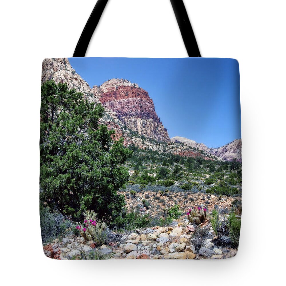 Desert Tote Bag featuring the photograph Spring hike by Tammy Espino