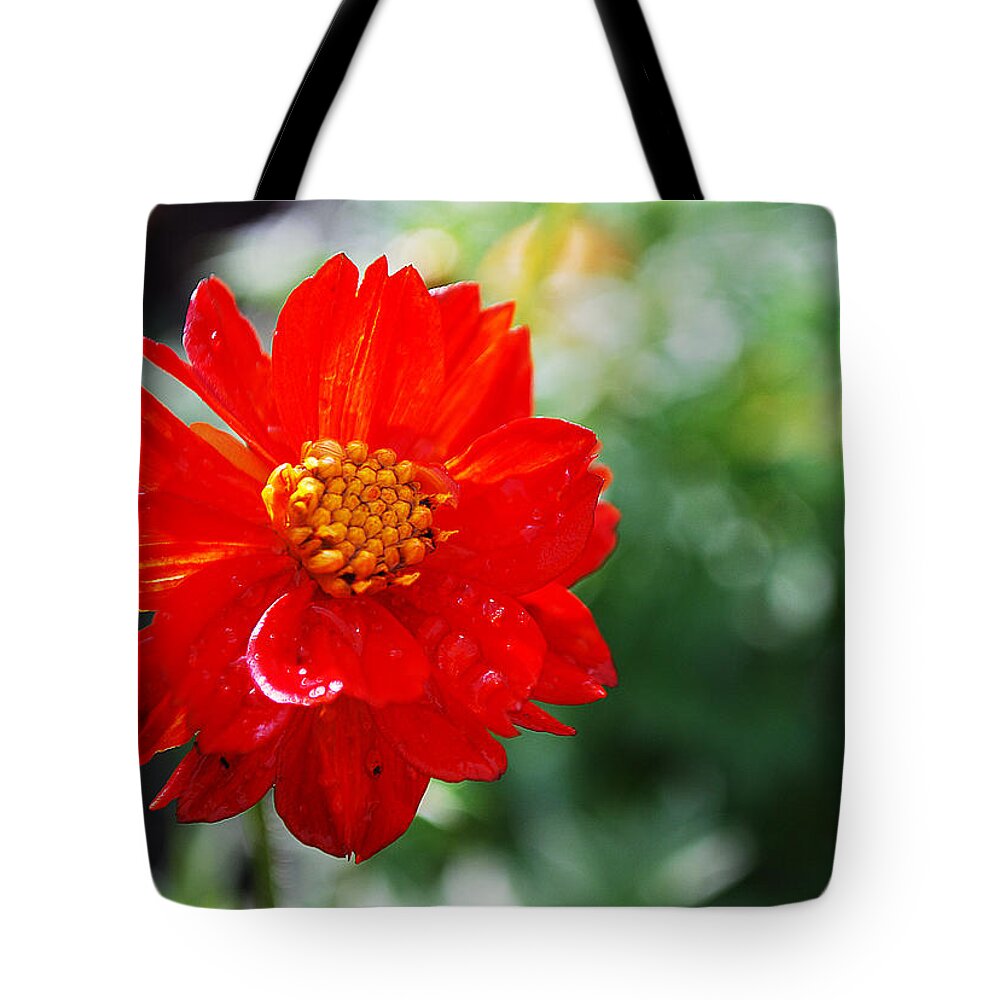 Spring Tote Bag featuring the photograph Spring Is In The Air by Becky Furgason