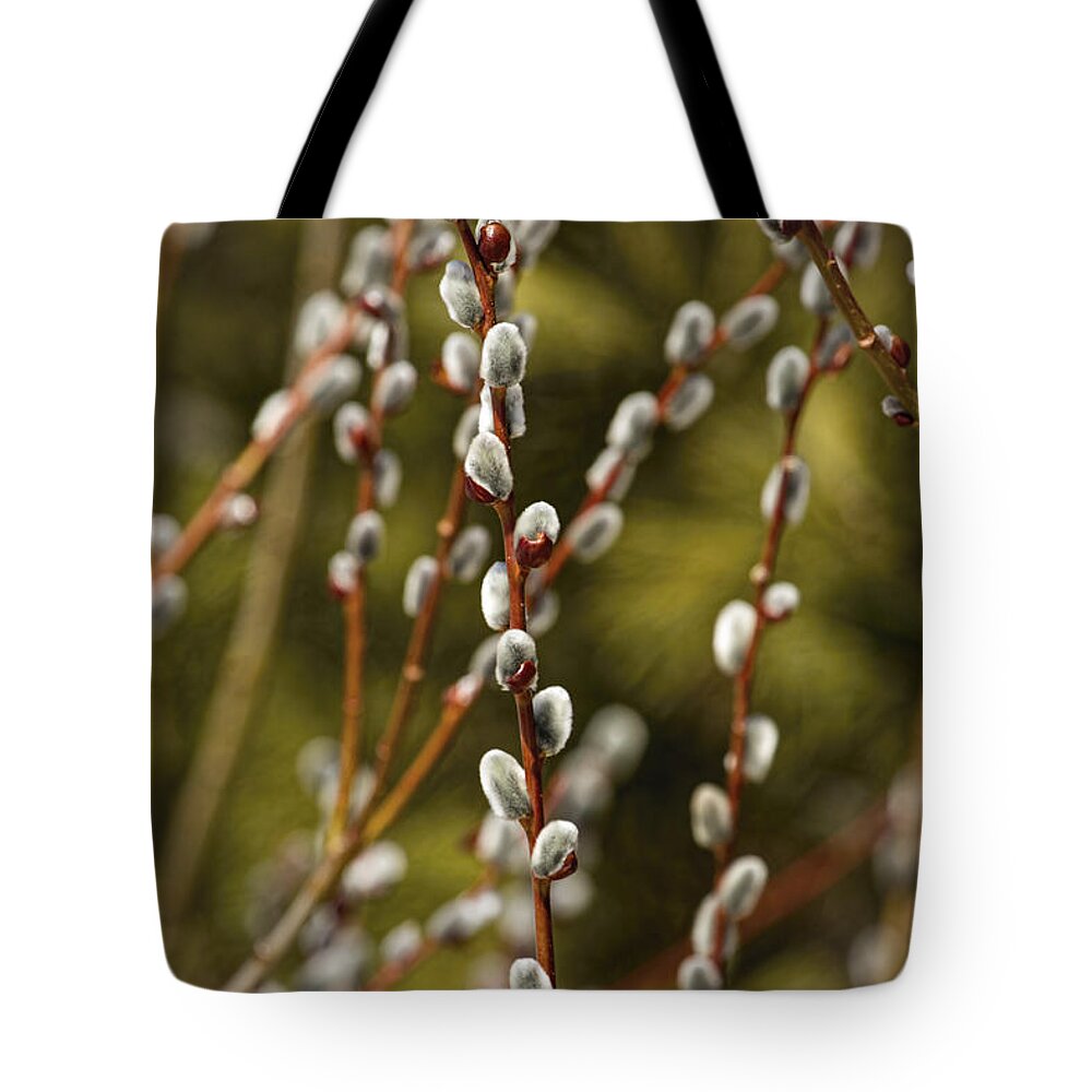 Pussy Willows Tote Bag featuring the photograph Spring is Springing by Thomas Young