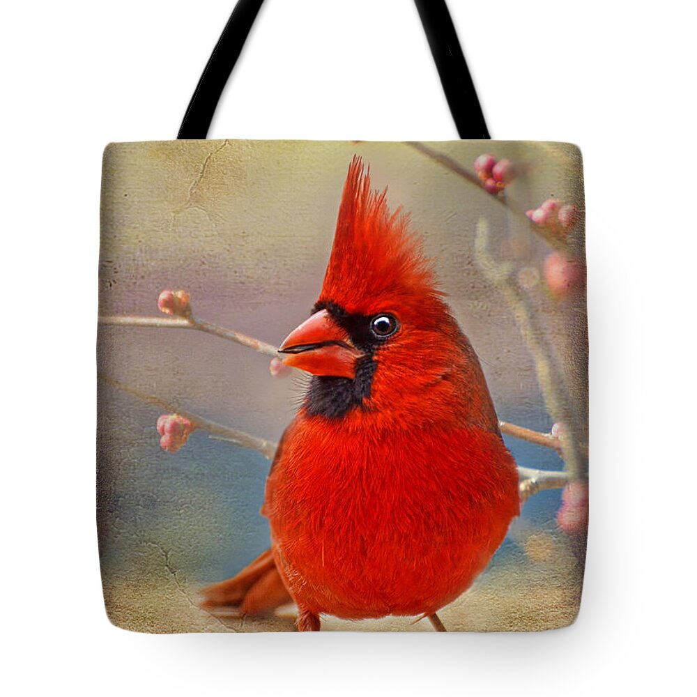 Bird Tote Bag featuring the photograph Spring Male Norther Cardinal by Debbie Portwood