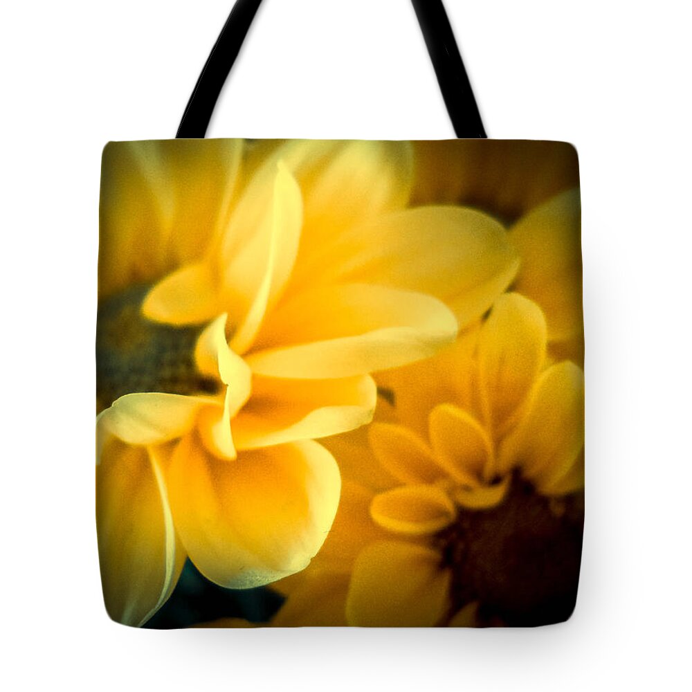 Flower Tote Bag featuring the photograph Spring Mums by Judy Hall-Folde