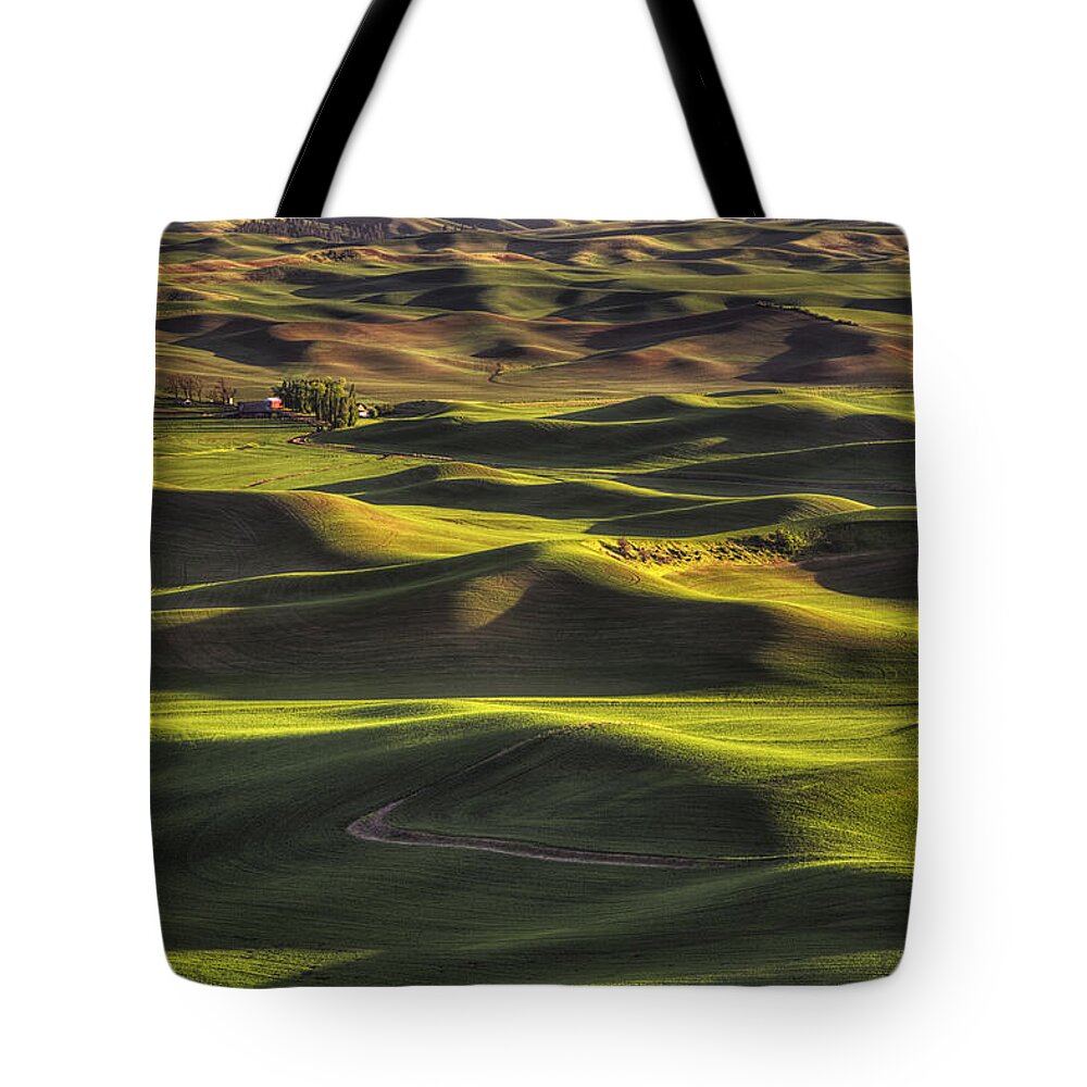 Wheat Tote Bag featuring the photograph Spring on the Palouse by Mark Kiver