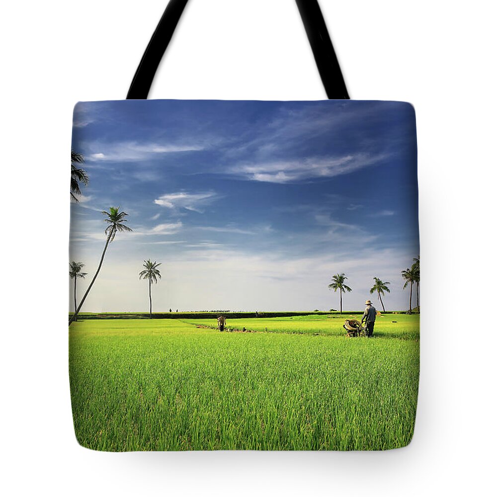 Working Tote Bag featuring the photograph Spring Onion Field, Ly Son Island by Huyenhoang