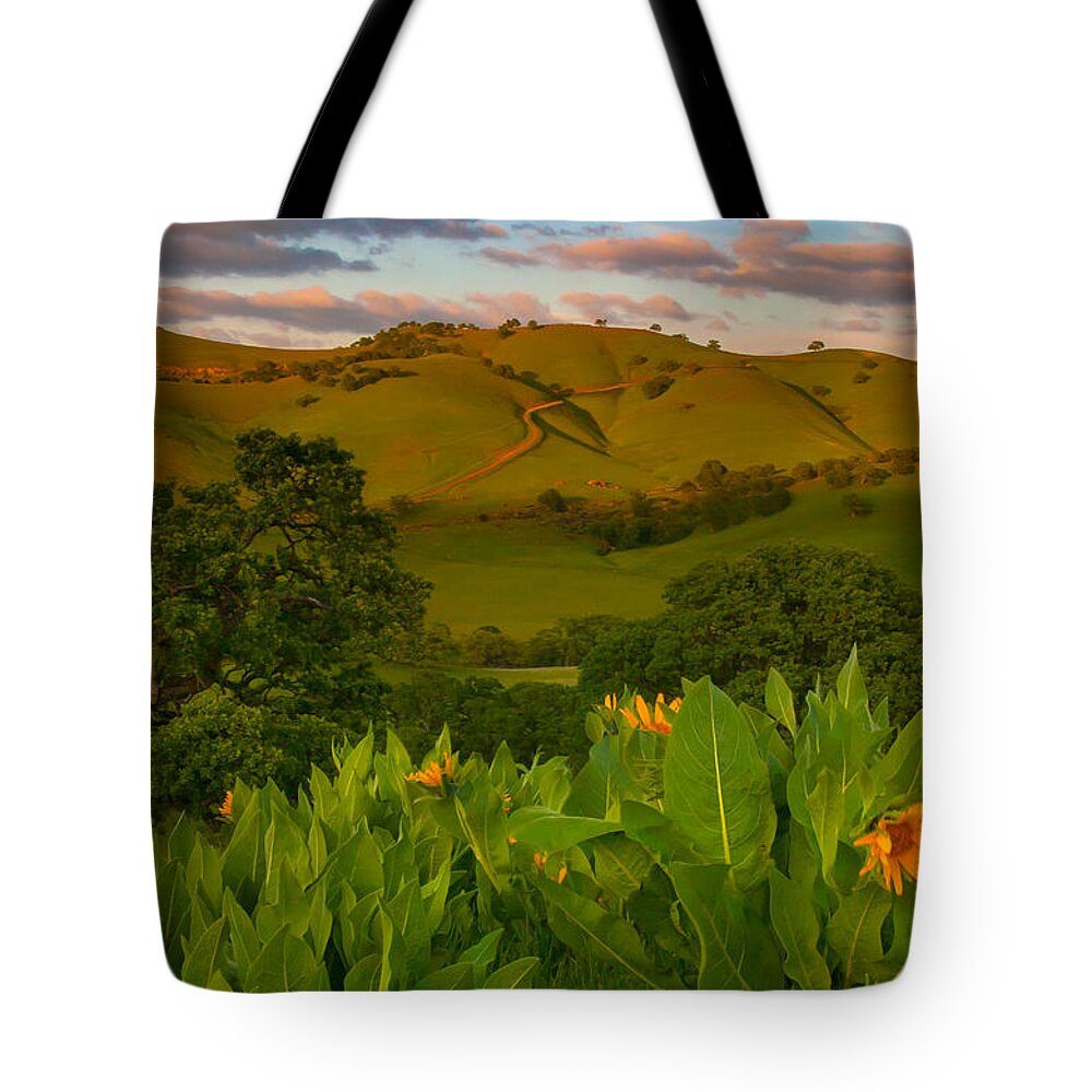 Landscape Tote Bag featuring the photograph Spring Scene At Round Valley by Marc Crumpler