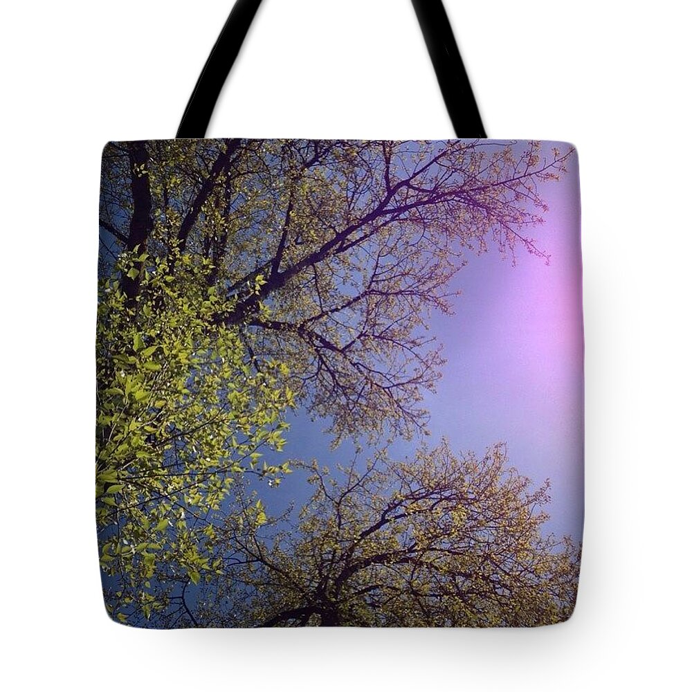 Spring Tote Bag featuring the photograph Spring Trees by Anna Porter