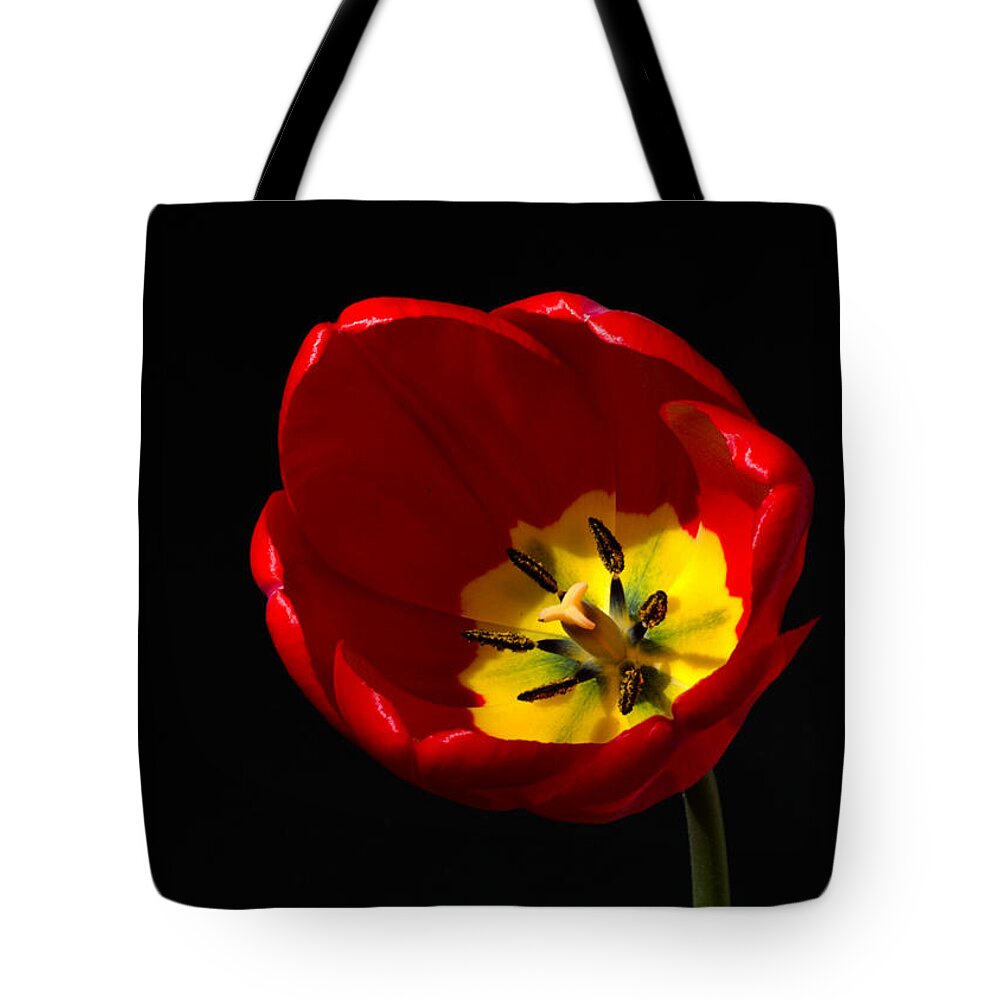 Spring Tulip In Full Bloom Tote Bag featuring the photograph Spring Tulip 2 by Kenneth Cole