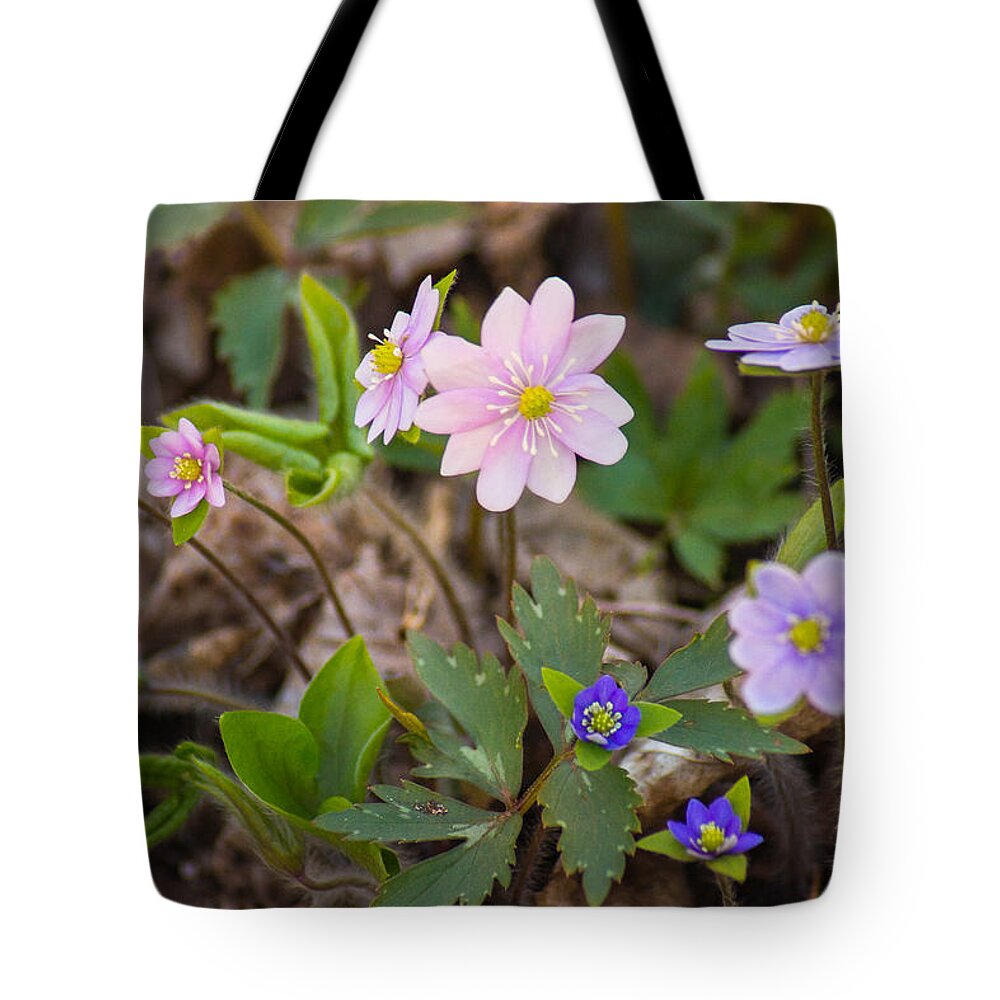 Wildflower Tote Bag featuring the photograph Spring Variety Show by Bill Pevlor