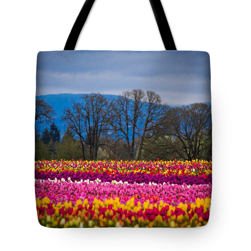 Tulips Tote Bag featuring the photograph Spring's Laugh by Patricia Babbitt