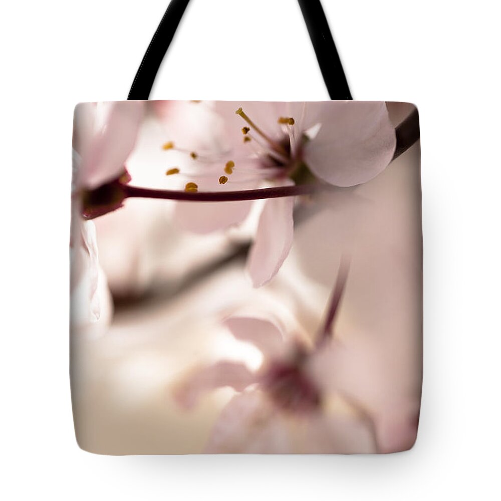 Cherry Blossom Tote Bag featuring the photograph Springtime Blossom by Jan Bickerton