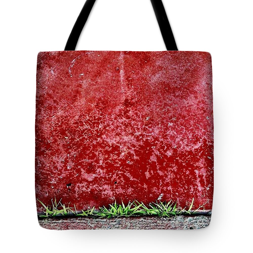 Evilred Tote Bag featuring the photograph Springtime by Julie Gebhardt