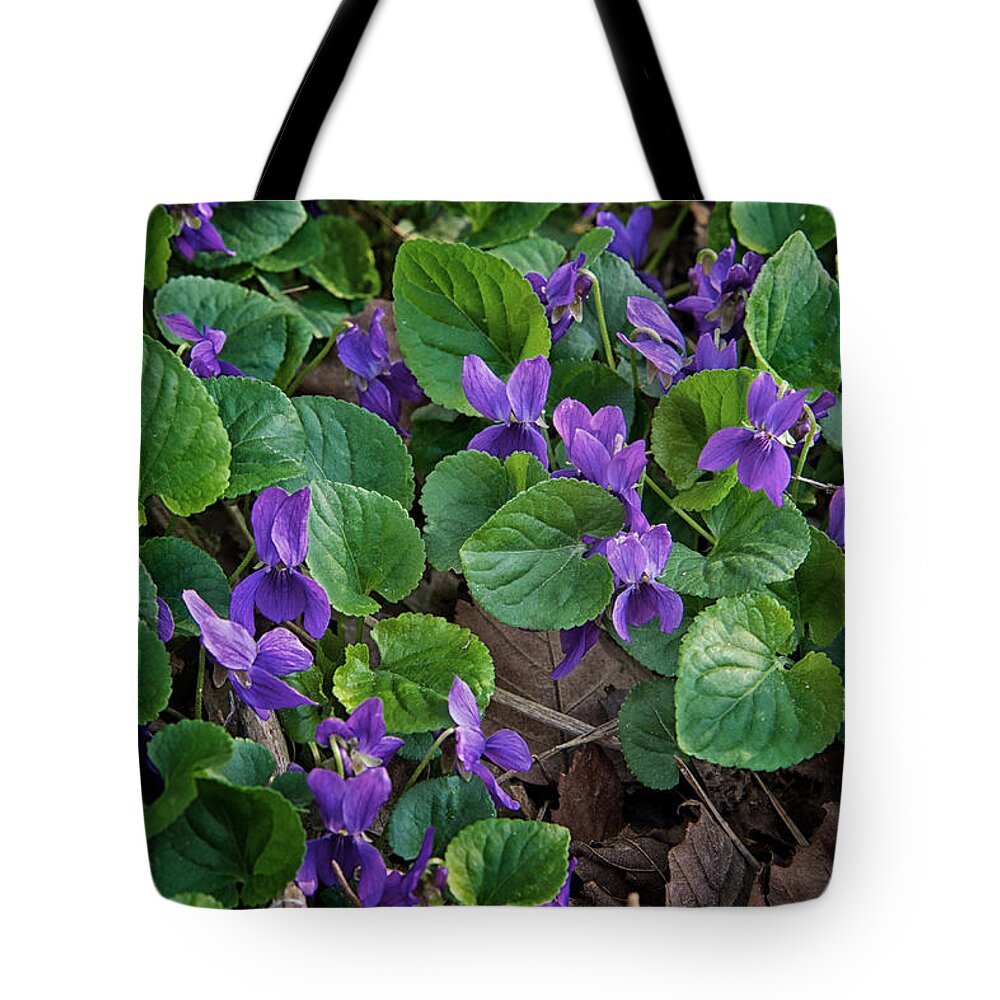 Flower Tote Bag featuring the photograph Springtime Violets by Mary Lee Dereske