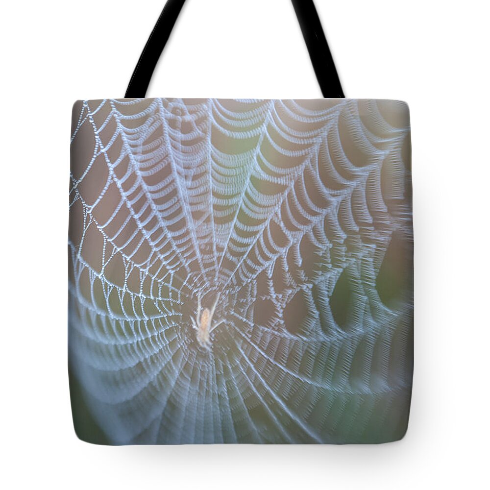 Spyder Web Tote Bag featuring the photograph Spyder's Web by Matthew Pace