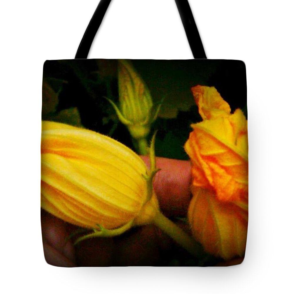 Squash Blossoms Tote Bag featuring the photograph Squash Blossoms by Beth Ferris Sale