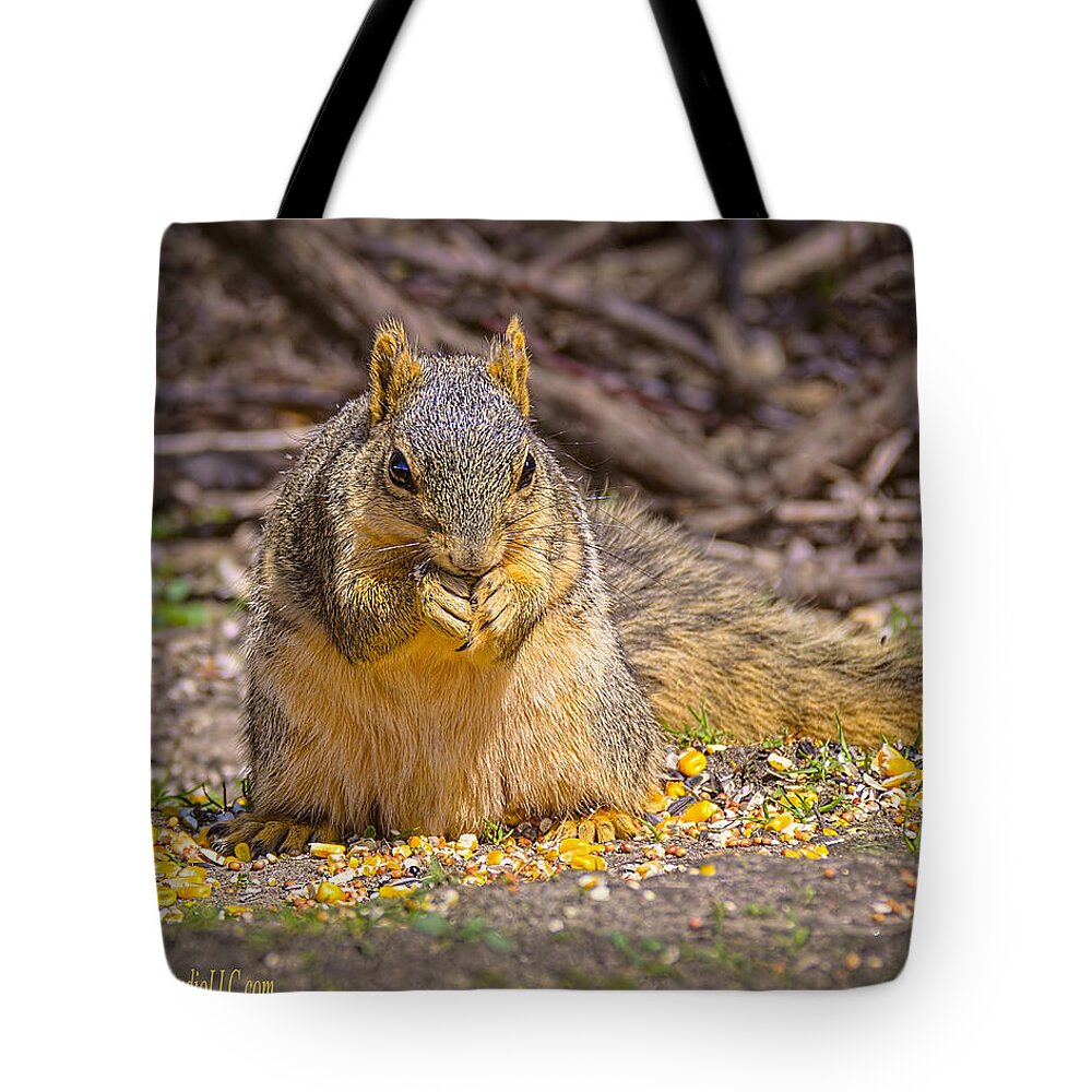 Animals Tote Bag featuring the photograph Squirrel and non GMO Corn by LeeAnn McLaneGoetz McLaneGoetzStudioLLCcom